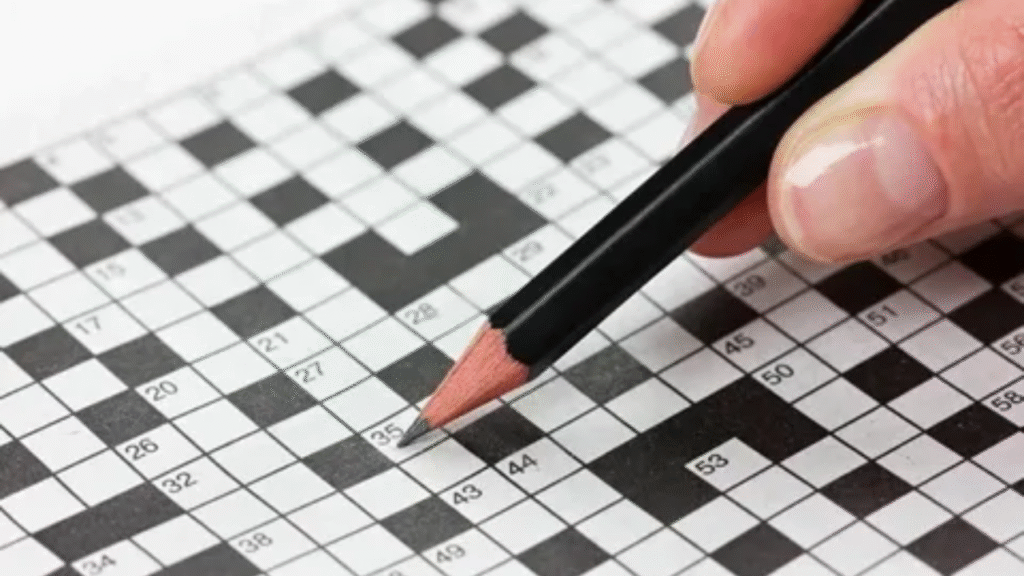 Kitchen Gadget Crossword Clues
