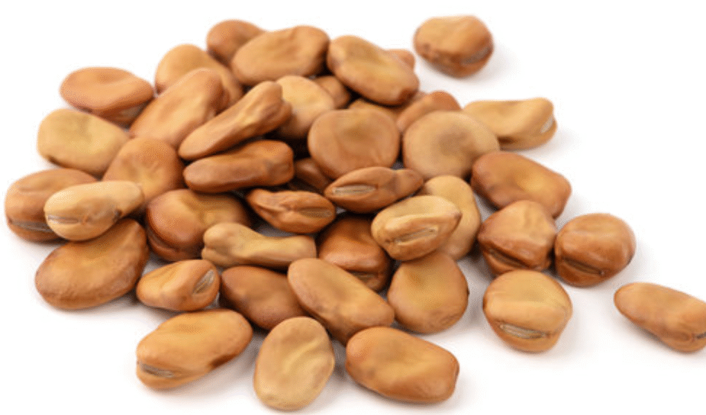 Dried Broad Beans