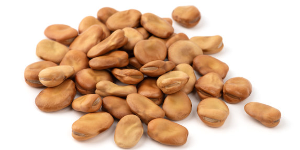 Dried Broad Beans